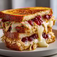 A grilled cheese sandwich with chicken and cranberry.